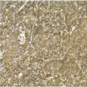 Gạch lát sàn Trường Thịnh NEW SWAN CASTLE G32010